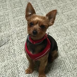 Meet your Posher, Gene